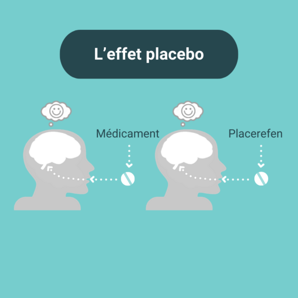 Placerefen – Image 5